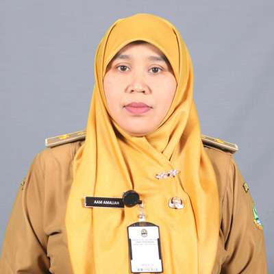 Aam Amaliah, SE